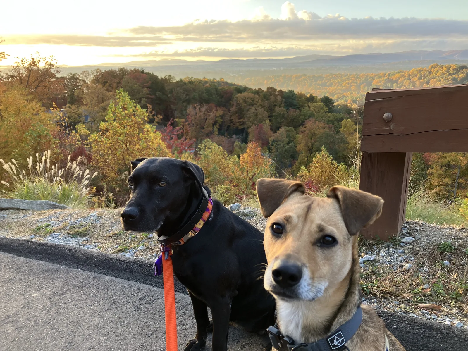 Felix with Ruthie